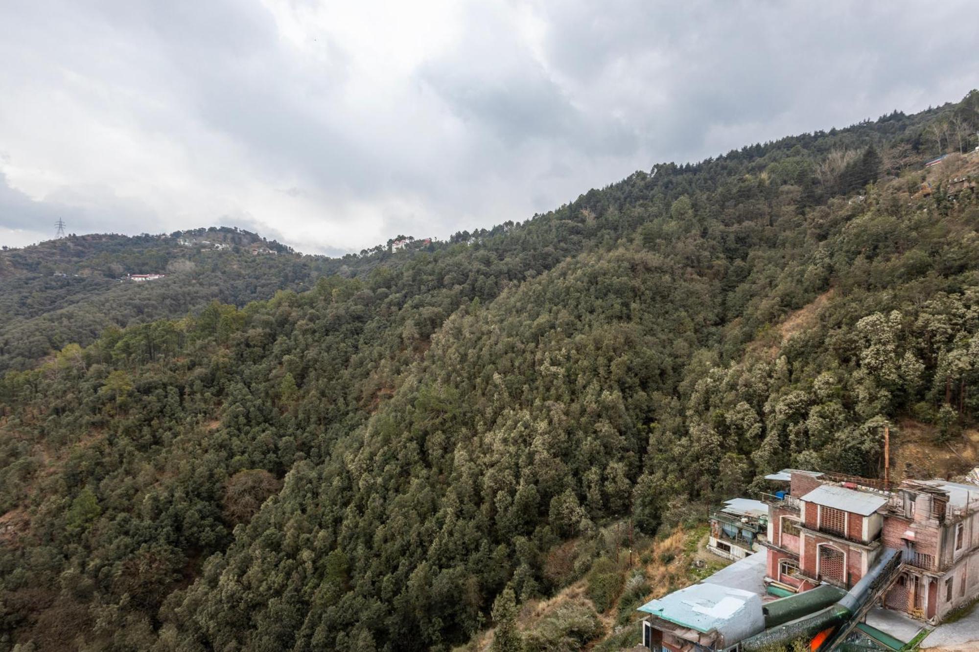 Hotel Lords Garden Glory Shimla Exterior foto